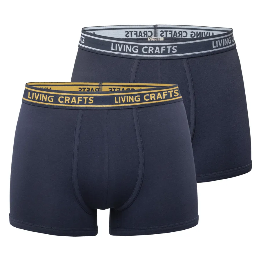 Herren Boxer-Shorts, 2er Pack RICHARD in Blau aus Baumwolle mit Elasthan – mit Stretch