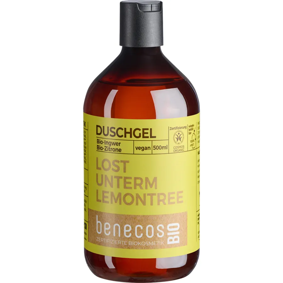 Duschgel BIO-Ingwer benecos in N/A